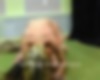 77919145_{w2101}_66.jpg